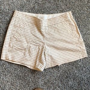 J crew khaki navy Polka dot dress shorts